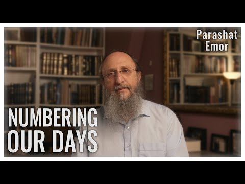 Parashat Emor 5784 | The Infinite Value of Each Moment