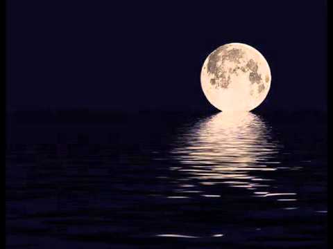 PROTOCULTURE feat SHANNON HURLEY gone down ( ALEX M.O.R.P.H. & CHRISS ORTEGA remix )