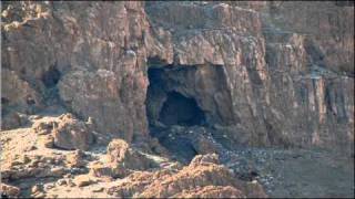 Demdike Stare - Desert Ascetic