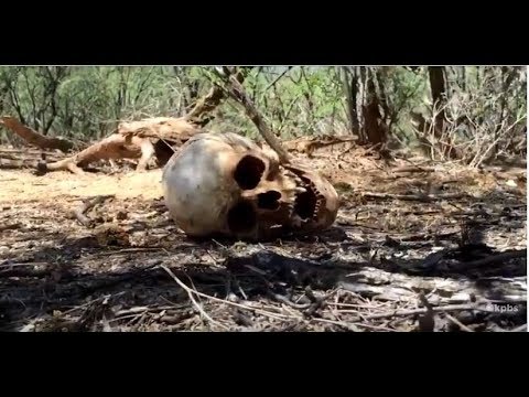 Thursday, June 13, 2019 - Evening Edition