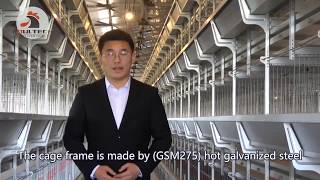 Download lagu H Frame Poultry Farm Chicken Battery Pullet Cage with Automatic System in Installation mp3