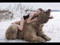 10 Incredible RELATIONSHIPS BETWEEN ANIMALS AND HUMAN 10 Incredible RELATIONSHIPS BETWEEN ANIMALS AND HUMAN