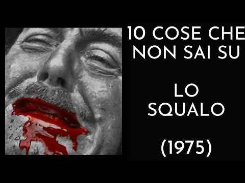 10 COSE CHE NON SAI SU LO SQUALO - THE VNTG NETWORK