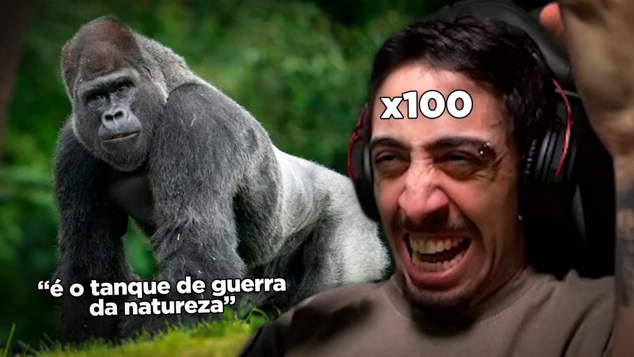 COMO 100 HOMENS GANHAM DE UM GORILA