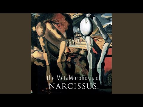 The metamorphosis of Narcissus