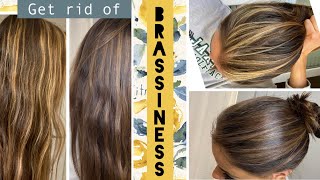 TONING your hair at home | STEP by STEP how to get rid of BRASSINESS in Highlights