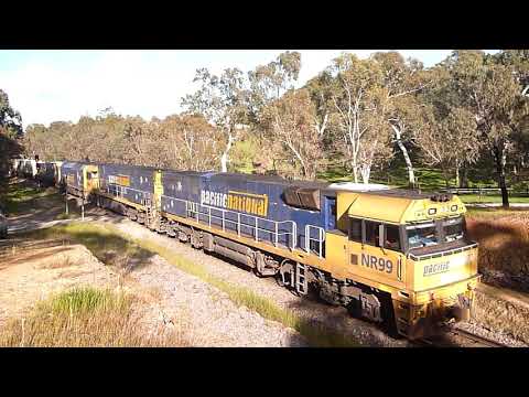 Saturday Morning at Mt Barker Junction - 19/10/2019