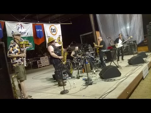 Brave Combo at Summer in the Park 2014 - July 31, 2014 (shakiness corrected)