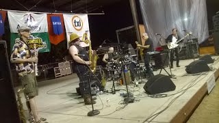 Brave Combo at Summer in the Park 2014 - July 31, 2014 (shakiness corrected)