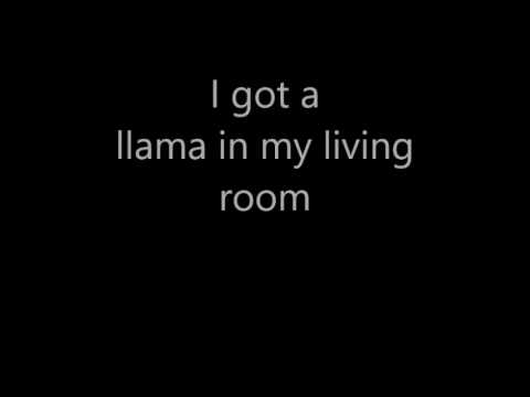 Llama In My Living Room lyrics