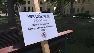 Életmentő donorok