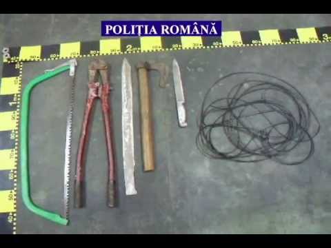 Perchezitie la Mitreni