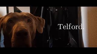 Telford  -  Short film (2026)