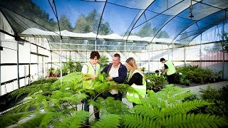 What aTafe Nursery should look like.