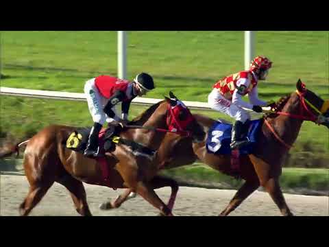 221202 c03 LATERAL CON SALIDA