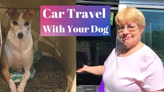 How To Travel With Dog In Car For Long Distance Travel Tips