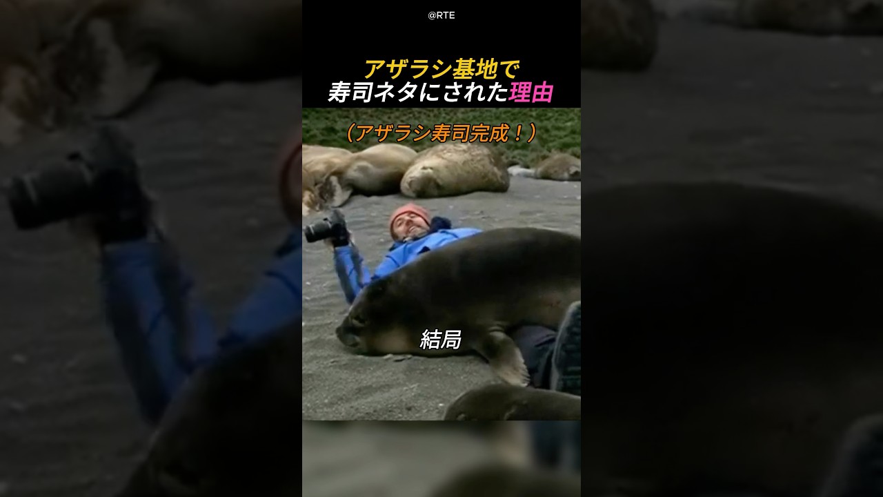 アザラシ基地で寿司ネタにされた理由