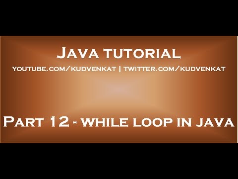 while loop in java