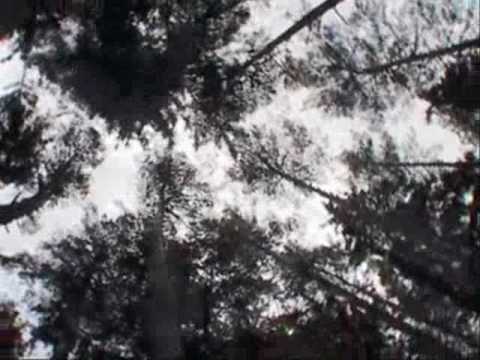 Songs of Freedom "Alytė"