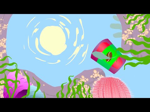 Infocandy Animations Ltd video.