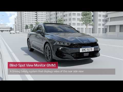 Blind-Spot View Monitor(BVM)