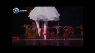 preview picture of video 'The World's Top Ballet in Tianjin'