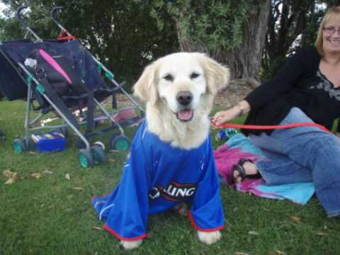 KTBRSC tribute 2009-10 (2).wmv