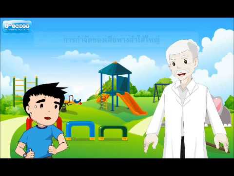 สิ่งที่จะกินเพื่อเพิ่มความแข็งแรง อวัยวะเพศชายหนุ่ม 2 ปี