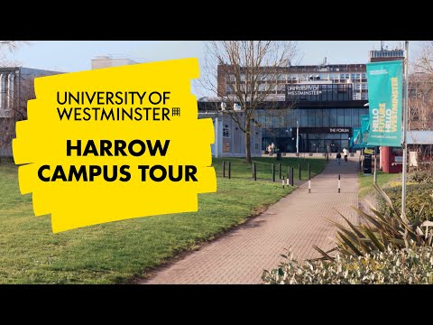 Play Video Youtube Video