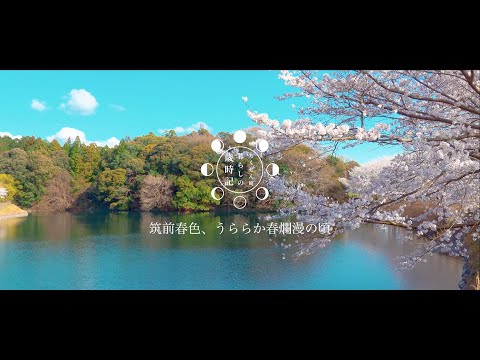 筑前町暮らしの歳時記「筑前春色、うららか春爛漫の頃」