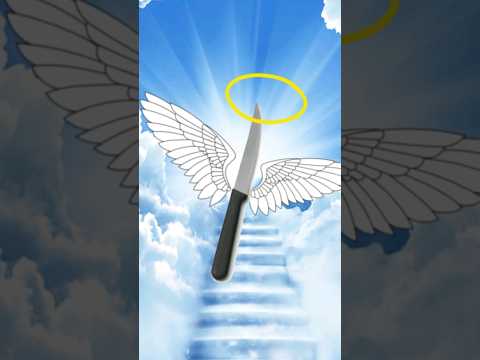 Mataron a un inocente 😇 #cuchillo #mataron #inocente #meme