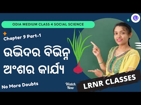 Udvidara Bibhinna Anshara Karjya (ଉଦ୍ଭିଦର ବିଭିନ୍ନ ଅଂଶର କାର୍ଯ୍ୟ) Class 4 - Ame O Ama Paribesa - Samajika Bigyana Chapter 9 - Part-1