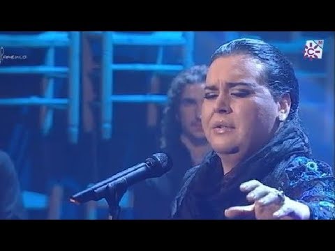 Bulerías. La Loba. Falete. 2011