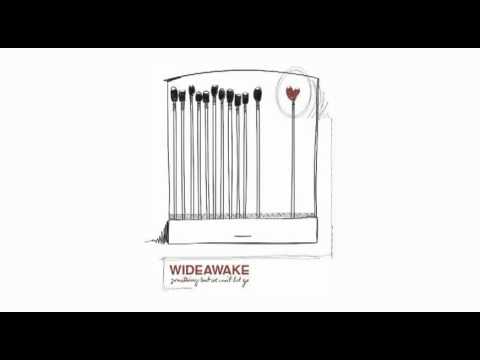 Wideawake - Forgotten