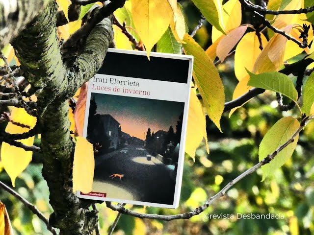 Vídeo relacionado con Luces de invierno (Narrativa)