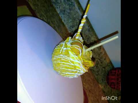 download lagu mp3 mp4 Banana Apple Pudding, download lagu Banana Apple Pudding gratis, unduh video klip Banana Apple Pudding