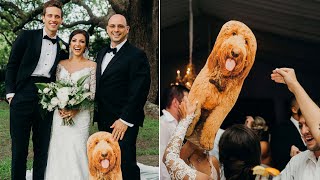 Bride's 'Goofball' Dad Brings Life-Size Cardboard Cutout of Dog to Wedding