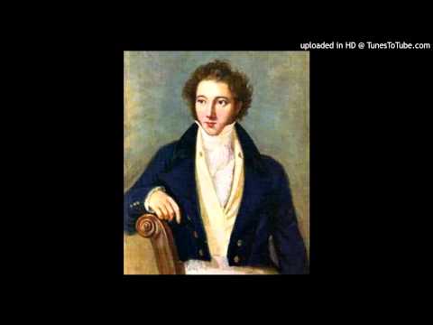 Vincenzo Bellini - Sinfonia in re minore - II. Allegro con spirito