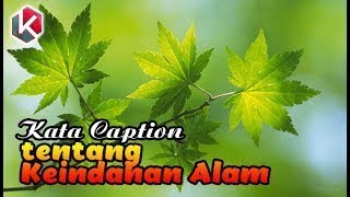 Download lagu 50 Captions About Natural Beauty mp3 Download lagu 50 Captions About Natural Beauty mp3