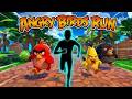 ANGRY BIRDS RUN Immersive Interactive Warm Up Viral Interactive Game