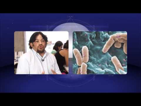 comment traiter enterococcus faecalis