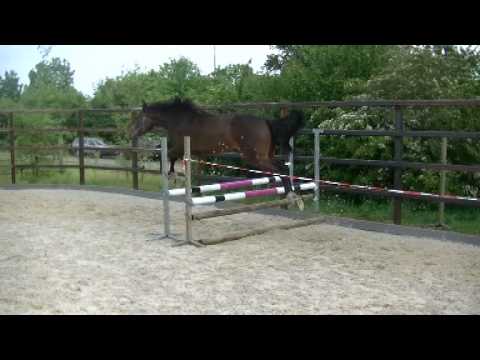 It 's Me Clarimo x Quintender