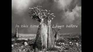 Firewind - Who am I (with lyrics)