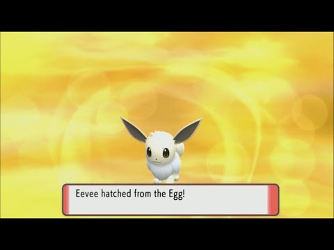 Shiny Female Eevee in Brilliant Diamond After 86 Eggs