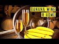Make Banana Wine at Home in 10 Days | Easy Banana Wine Recipe | Banana Wine Alcohol Percentage