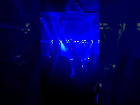 Farben Lehre - Aura / Hybrydy