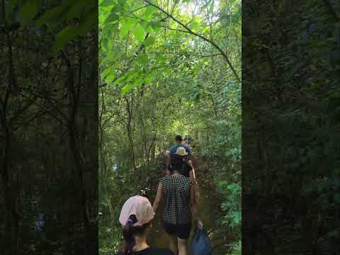 Trilha no Parque Ambiental Gamelão em Mato Rico PR