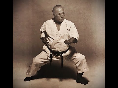 Sensei Taiji Kase, Chinte Bunkai, Steve Cattle.