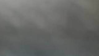 The Roots- Pussy Galore