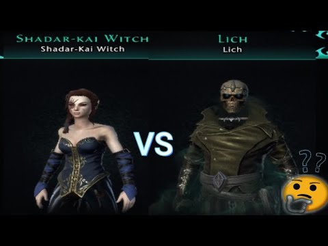 Neverwinter Online  Companions: Lich vs Shadar - Kai Witch